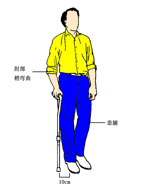 怎样使用手杖